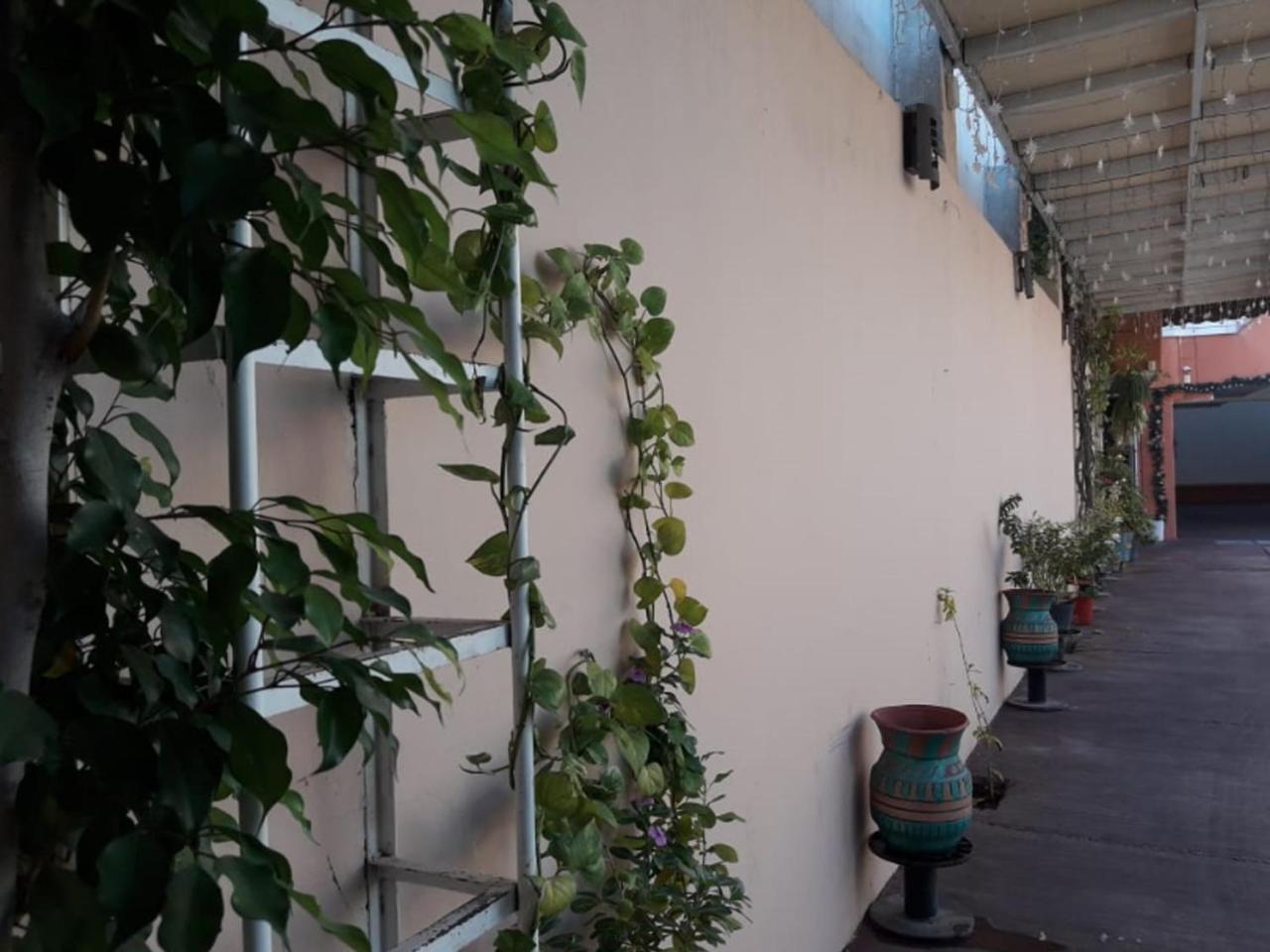 Tercera Avenida Hotel Tuxtla Gutiérrez Eksteriør bilde